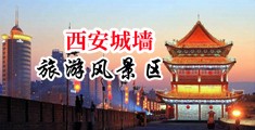 中国陕西-西安城墙旅游风景区