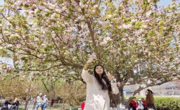 旅游信息网_第三届北京朝阳花园节·游赏体验季暨元大都第26届海棠花溪节惊艳绽放