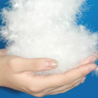 优质水洗羽绒 羽毛 鸭绒 含绒量90% 国标 欧标