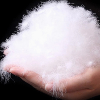 多种水洗羽绒(图)