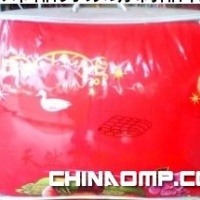 天然的鸭绒被 详见图