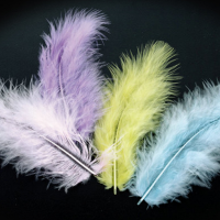 欧标羽绒,美标羽绒,白鸭绒,灰鸭绒,混合绒