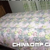 羽绒床上用品,灰鸭羽绒被