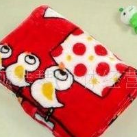 供应春秋柔软透气毯子,双面绒毯