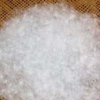 供应80%、90%白鸭绒