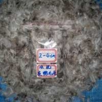 供应灰鸭毛,羽绒、羽毛制品专用,羽绒被专用