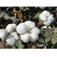 供应棉被半成品纺织填充物