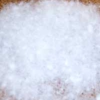 供应白鸭绒、80%、90%羽绒、羽毛