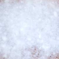 供应白鸭绒50%-90%羽绒