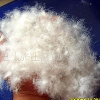 供应好羽绒 羽绒