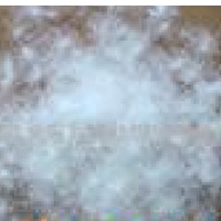 供应水洗白鸭绒(图)