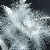 供应水洗羽绒,羽毛,白鸭绒,家具填