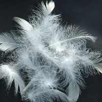 供应羽绒马甲的羽绒