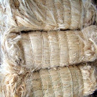 供应巴西剑麻纤维(图)