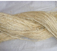 供应大麻精干麻