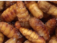 供应出口韩国速冻蚕蛹