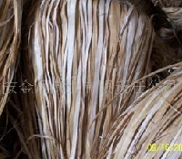 供应大麻原料麻皮