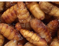 供应出口级冻蚕蛹(silkworm chrysa)