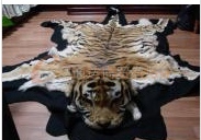 供应虎皮(有国家级正规手续)