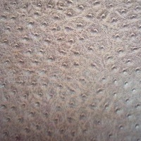 供应PVC鸵鸟皮驼鸟纹皮革