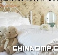 60支纱加大双人组合臻绒被