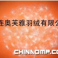 各国标准高品质白鸭绒