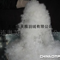各国标准高品质白鸭绒