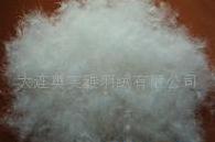 各国标准高品质水洗白鸭绒