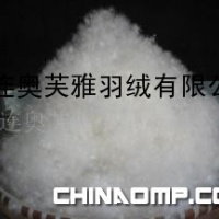 各国标准高品质白鸭绒