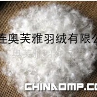 各国标准高品质白鸭绒