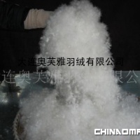 各国标准高品质白鸭绒