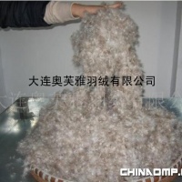 各国标准高品质灰鸭绒