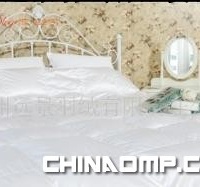 臻绒被,0.8kg加大双人羽绒被。