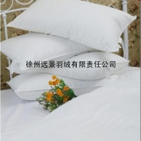 羽绒枕,0.9kg单人羽绒枕