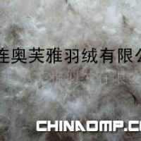 各国标准高品质白鸭绒