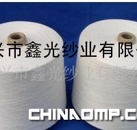 纯涤50支强捻纱 纯涤纱 涤纶纱(图)