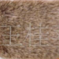 供应复合毛绒