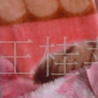 供应涤纶毛毯