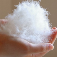 供应未水洗60%-80%白鸭绒