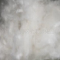 供应皮棉、棉花