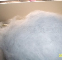 供应彩色兔毛.兔绒