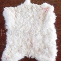 供应长毛兔皮