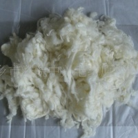 供应各种规格碳化毛。毛条。被服毛