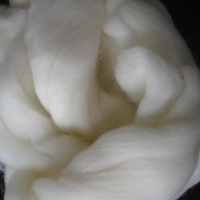 供应56-100s羊毛条