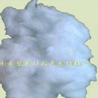 供应漂白全棉再生棉花