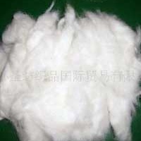 供应棉花 纯棉花 涤棉花 红棉花 蓝棉花 本棉花