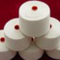 供应新疆有机棉纱线