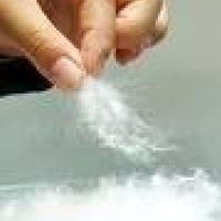 供应水洗羽绒羽毛-高品质白鹅绒,灰鹅绒,鹅毛片