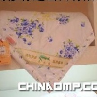 特价批发床上用品蚕丝被,供应蚕丝空调被