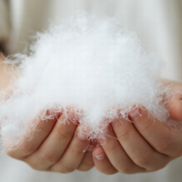 供应高标羽绒(图)